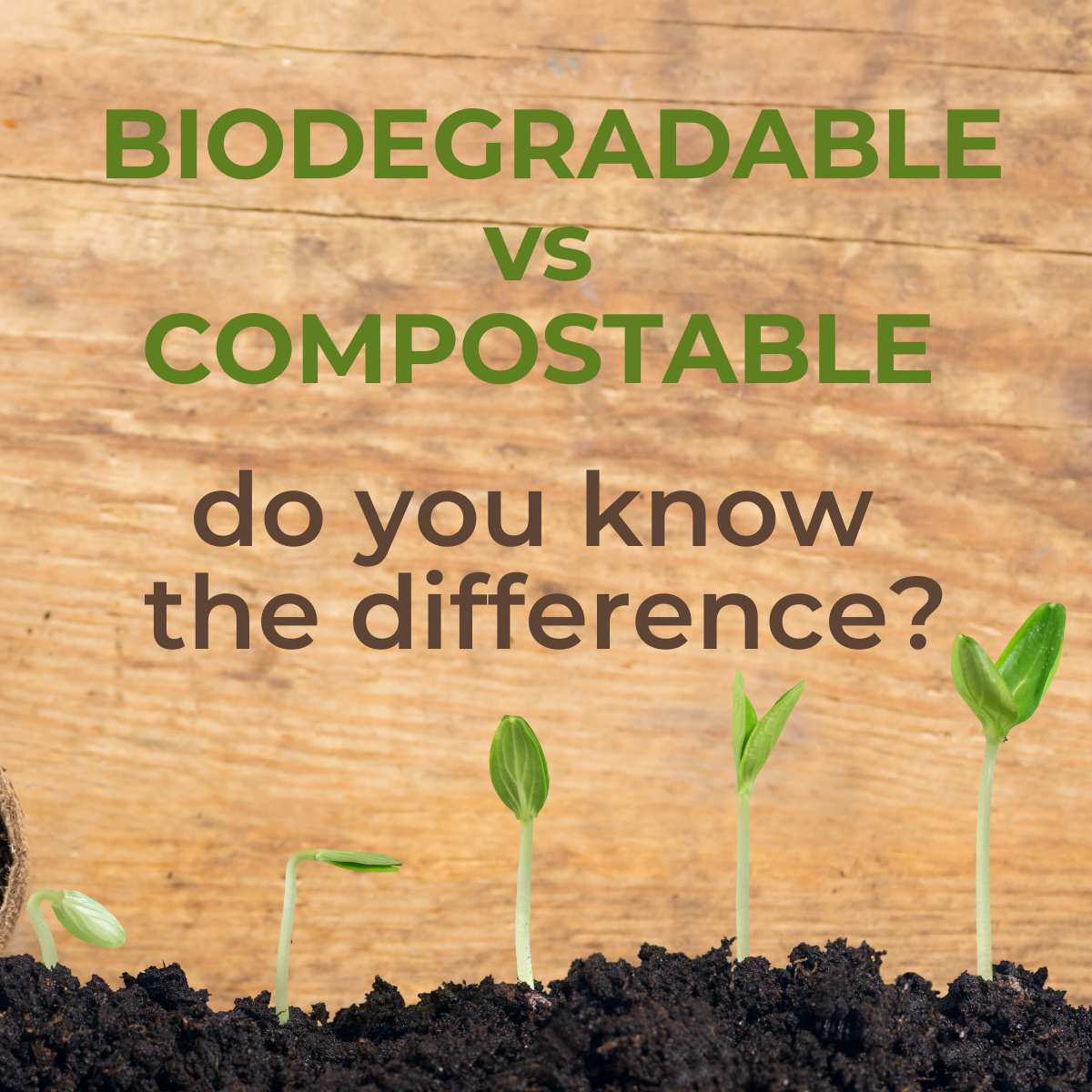 Sustainability and proper recycling: biodegradability and ...